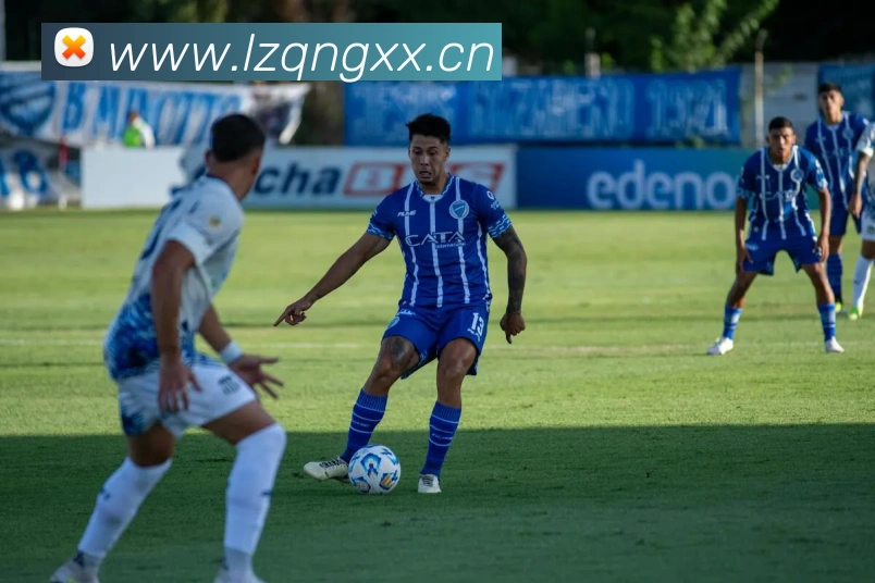 k1体育官方网站登录入口平台生态图